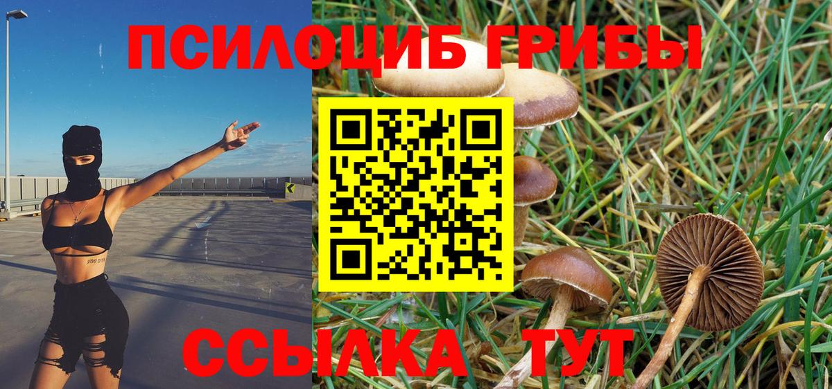 Псилоцибиновые грибы Magic Shrooms Егорьевск