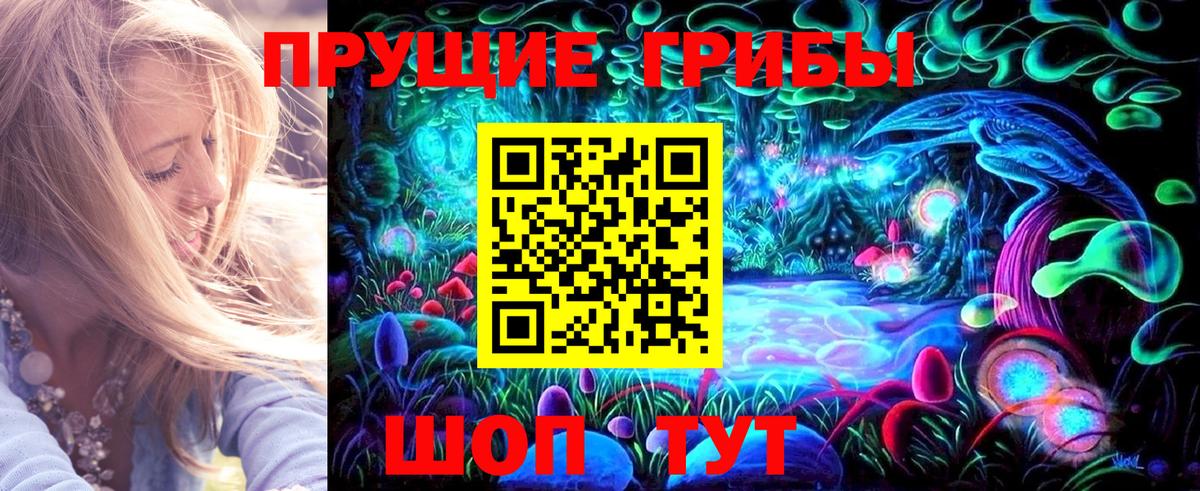 как найти закладки  Вход с VPN  Егорьевск  Псилоцибиновые грибы Psilocybe 